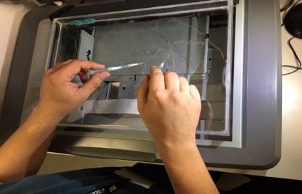 Radici Misurazione della lunghezza delle radici con uno scanner per radici.